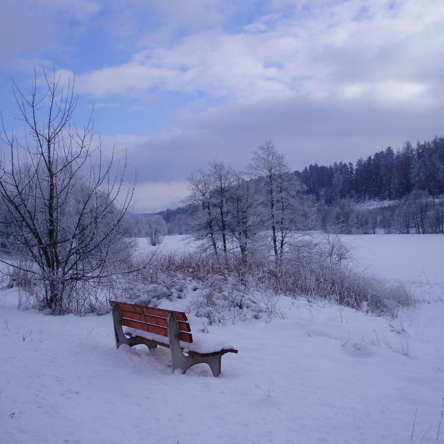 Feriendomizil-Sauerland Fewo 1 Medebach Kültér fotó